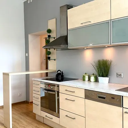 Beautiful In The Center - Spacious And Cosy * Stettin